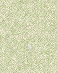 Botanical-inspired wallpaper with an intricate pattern of overlapping leaves in a light green color palette.