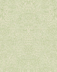 Pale green feather-patterned wallpaper, offering a soft and natural look.