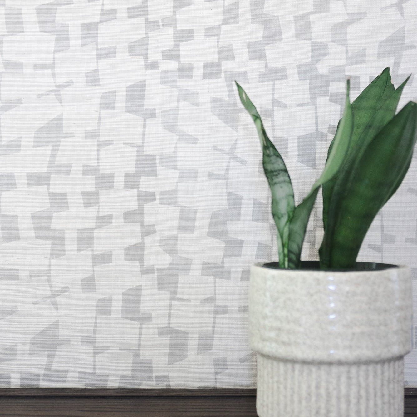 A modern interior featuring light gray and off-white geometric patterned grasscloth wallpaper as a backdrop, with a potted snake plant in a textured ceramic pot sitting on a dark wooden surface.