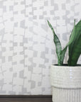 A modern interior featuring light gray and off-white geometric patterned grasscloth wallpaper as a backdrop, with a potted snake plant in a textured ceramic pot sitting on a dark wooden surface.