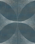 Lattice