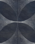 Lattice