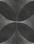 Lattice