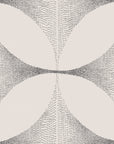 Lattice