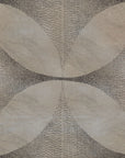 Lattice