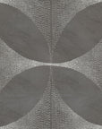 Lattice