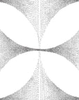 Lattice