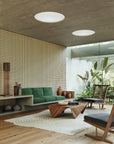 Grid - Small Bold