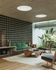 Contemporary living space featuring black and tan grid-patterned wallpaper, a floating concrete sofa with green cushions, wooden accent chairs, and large windows overlooking lush greenery, creating a serene and modern Japandi atmosphere.