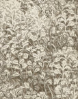 Neutral-toned botanical wallpaper with a hand-sketched foliage pattern in earthy brown against a cream background, bringing a classic yet organic feel.