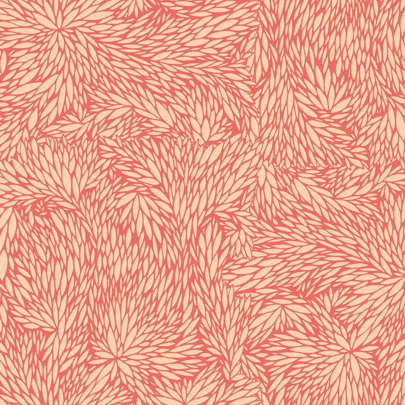 Blooms