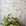 Interior setting with grasscloth wallpaper in soft gray botanical floral stripe, paired with a potted green plant for a natural aesthetic.