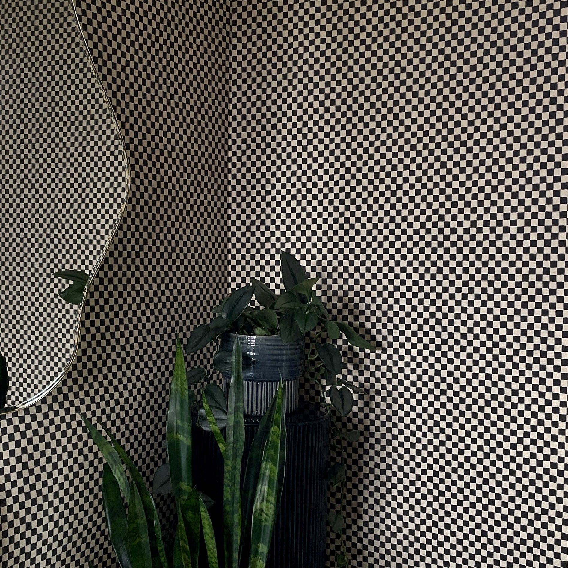 A moody corner with black and beige checkerboard wallpaper, a curved mirror, and lush green plants adding contrast to the bold pattern.