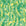 Bright yellow wallpaper with vibrant green tropical palm leaves and a wavy, ripple texture for a lively, summery look.