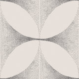 Lattice