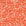 Orange Coral