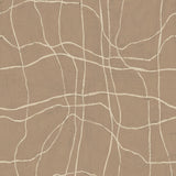 Warp & Weft