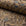 Brown botanical leaf jacquard upholstery fabric by the yard, rolled bolt view