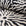 Black and ivory sunburst jacquard upholstery fabric by the yard, rolled bolt view