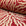Red and gold sunburst jacquard upholstery fabric by the yard, rolled bolt view