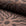 Dark brown sunburst jacquard upholstery fabric by the yard, rolled bolt view