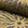 Gold and brown sunburst jacquard upholstery fabric by the yard, rolled bolt view
