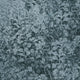 Blue wallpaper with an intricate botanical sketch in black, creating a rich and moody ambiance.