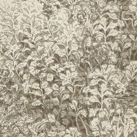 Neutral-toned botanical wallpaper with a hand-sketched foliage pattern in earthy brown against a cream background, bringing a classic yet organic feel.
