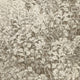 Neutral-toned botanical wallpaper with a hand-sketched foliage pattern in earthy brown against a cream background, bringing a classic yet organic feel.
