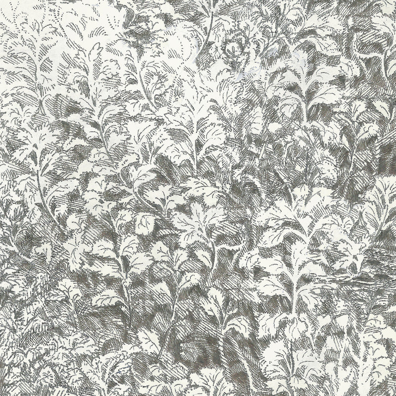 Brush