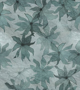 Clematis