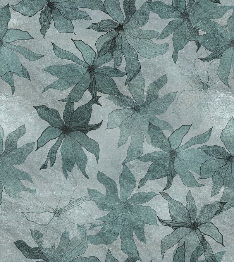 Clematis