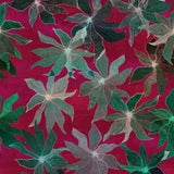 Clematis