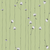 Mountain Rose