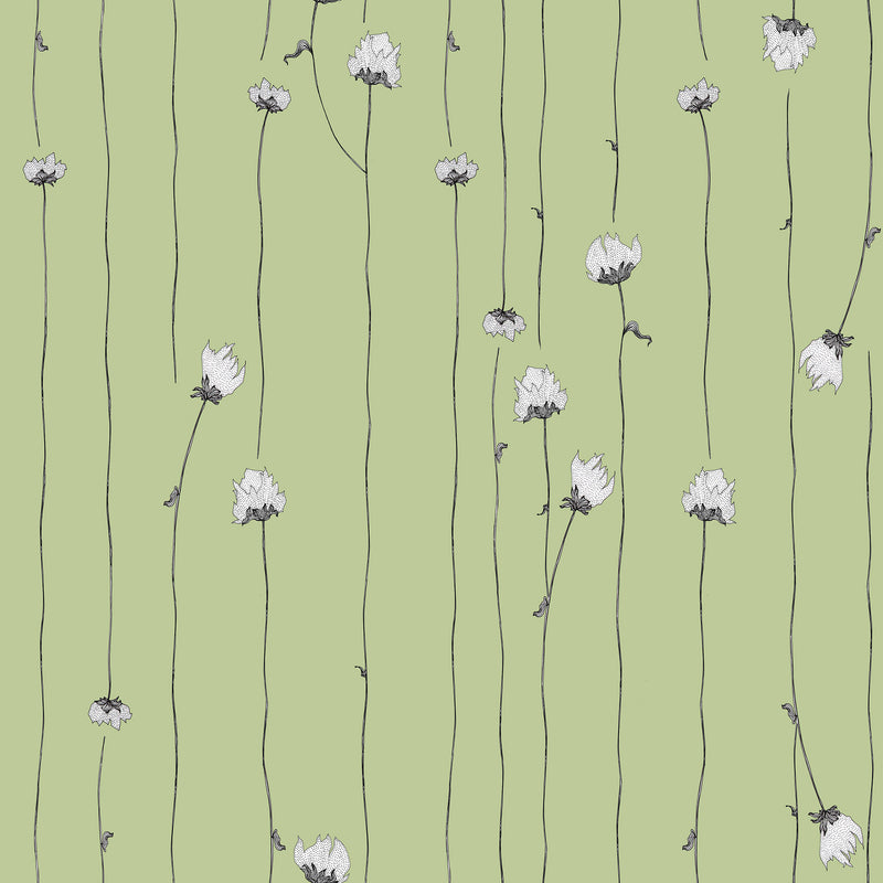 Mountain Rose