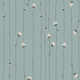 Mountain Rose