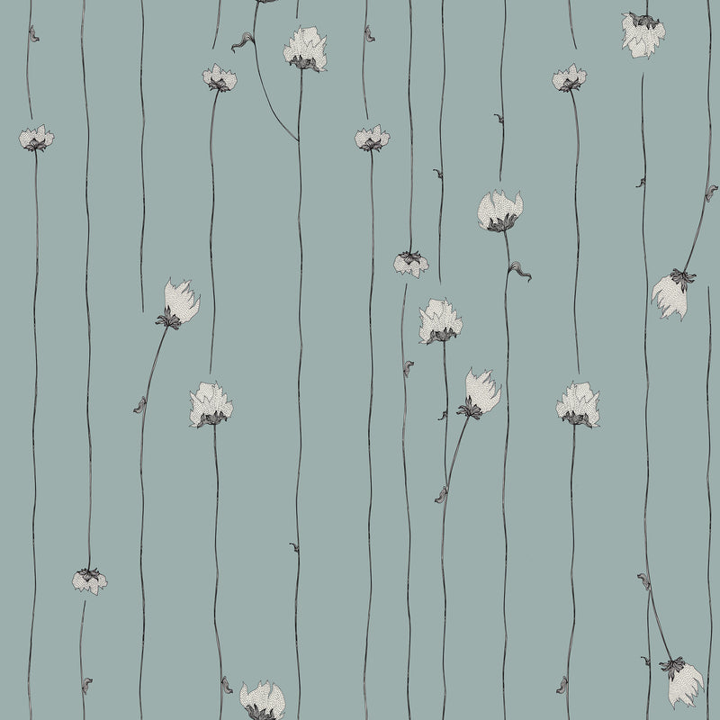 Mountain Rose