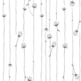 Mountain Rose