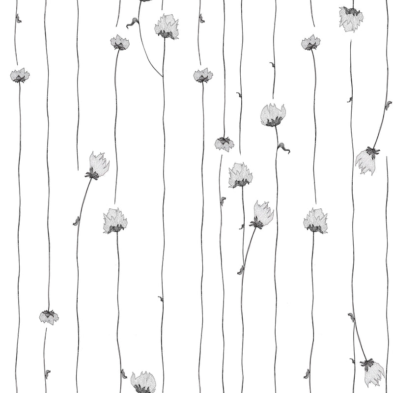 Mountain Rose